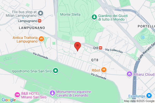 Istituto Beata Vergine Maria%institut Beatae Mariae Virginis