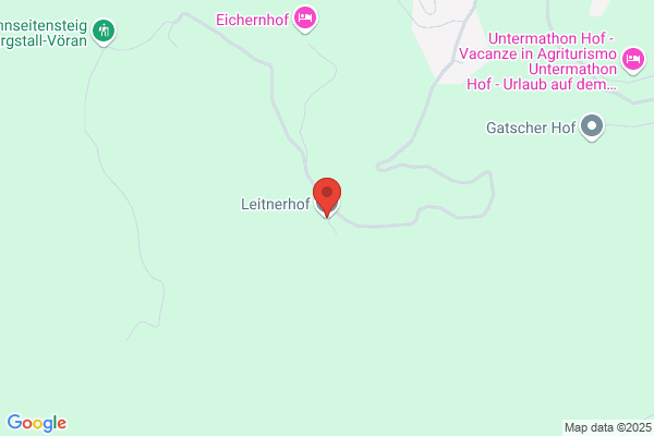 Leitner heinrich