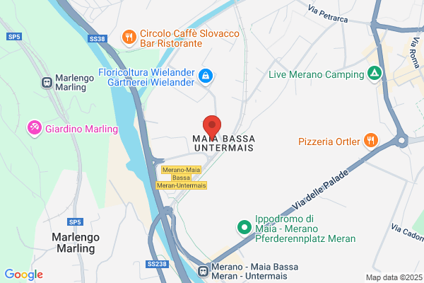 Pasquino armando (Dr.)
