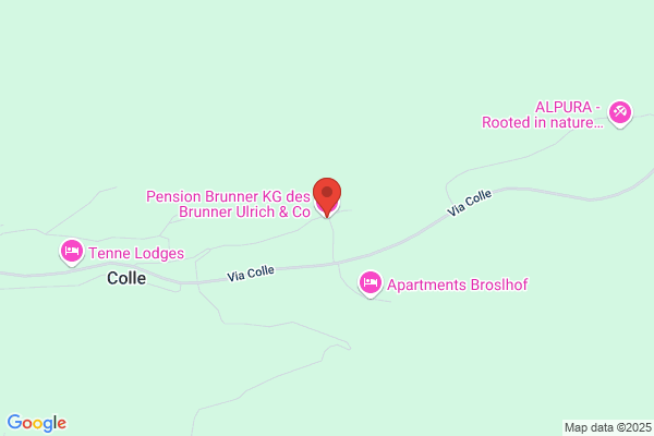 Pensione Brunner%pension Brunner