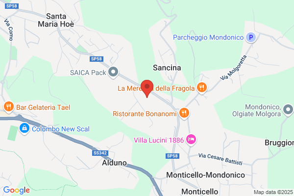 Mazzilli E C. (S.P.A.)