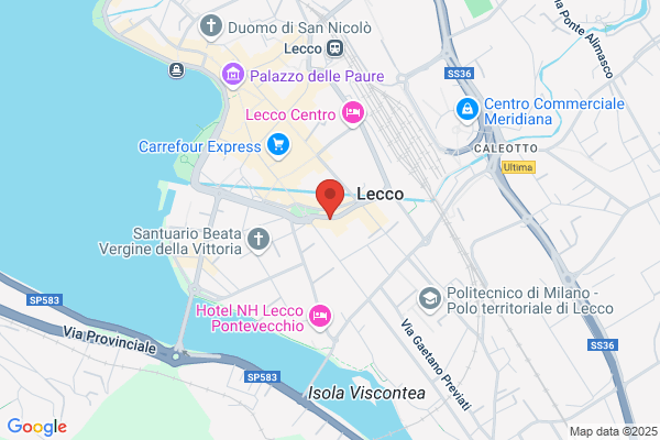 Meschi dario (Geom.)