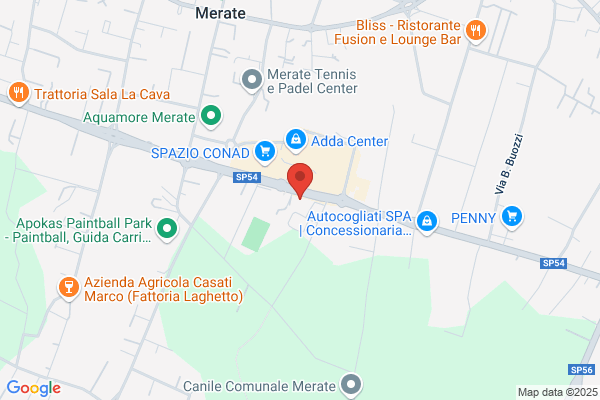 Sicuritalia Ilvi Spa