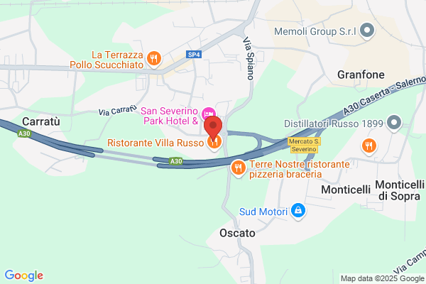 Festa Siniscalchi Domenico