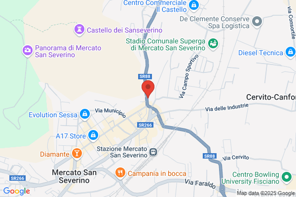 Vietri gerardo