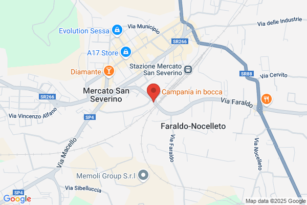 C e C Trasporti