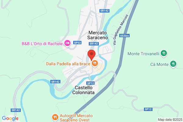Partito Democratico Della Sinistra