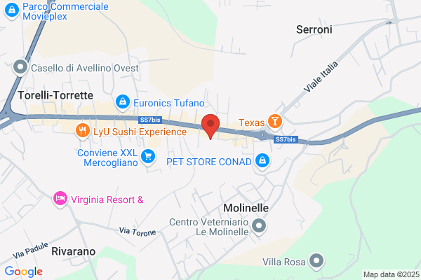 Gestione Regionale Trasporti Irpini