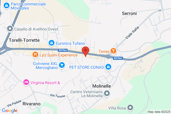 Terminio Motori S.R.L