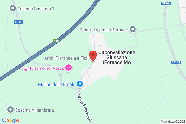 Arioli giuseppe (Dr.)