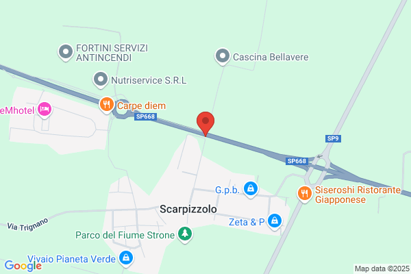 Franchi Jolanda