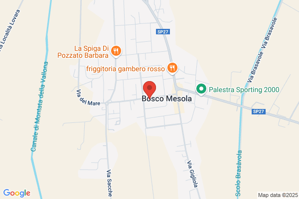 Turzo giovanna