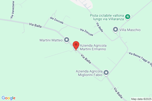 Martini ottorino