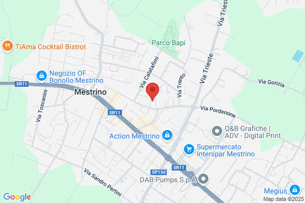 Trevisan armando
