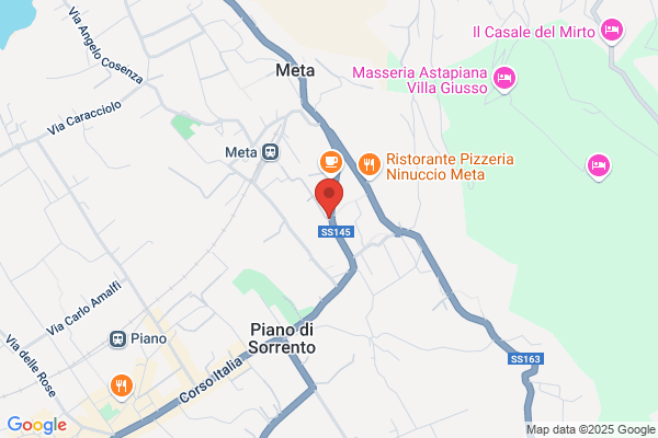 Road Runner Di Castellano Monica