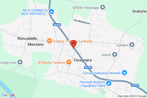 Fiori e Piante Il Giardino