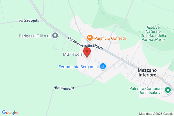 M.G.F. Srl