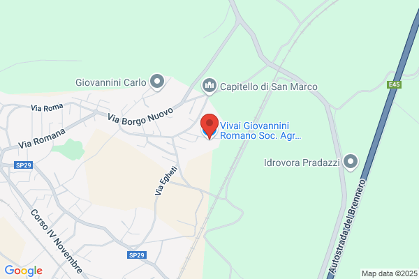 Vivai Giovannini Romano Soc. Agr. Semplice