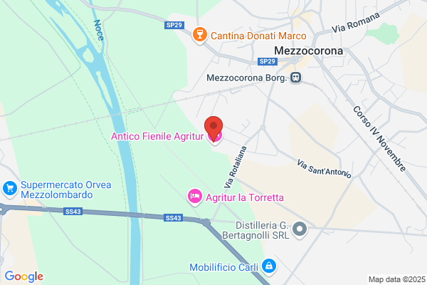 Alessandro