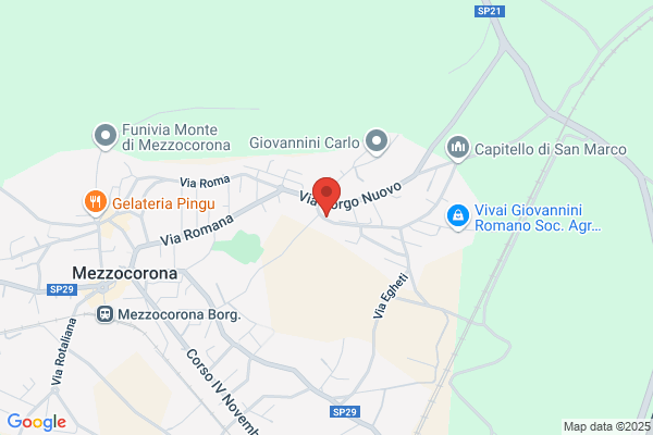 Fiamozzi Alfio (P.I.)