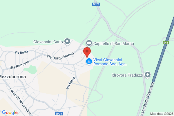 Gabrielli Bruno