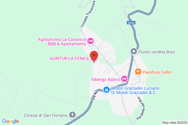 La Fenice Srl