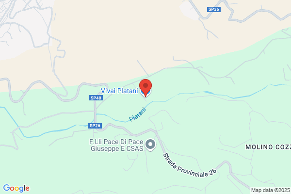 Vivai Platani