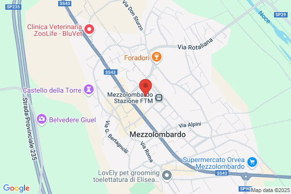 Scuola Elementare