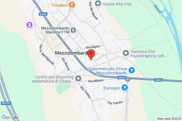 ITALIANA ASSICURAZIONI Mezzolombardo