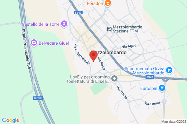Studio Legale Associato Mazzoni - Pezzi