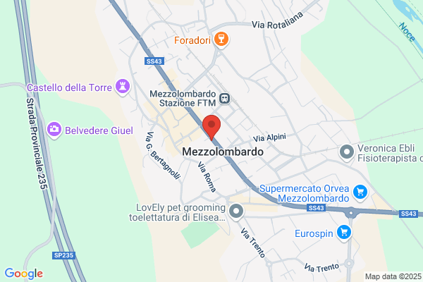 Vanzi Avv. Renzo Vanzi Avv. Umberto E Azzani proc. leg. katia
