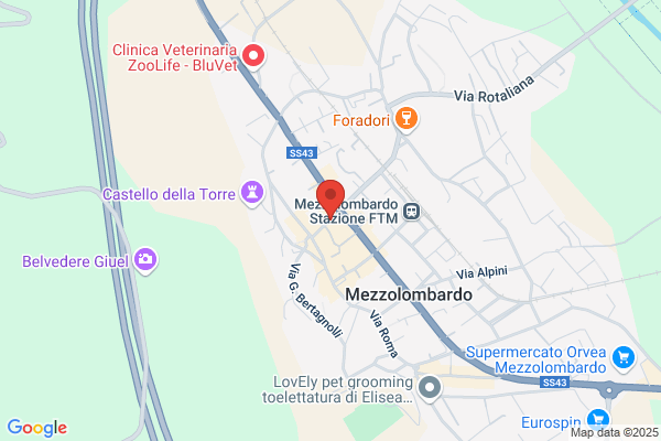 Municipio Di Mezzolombardo