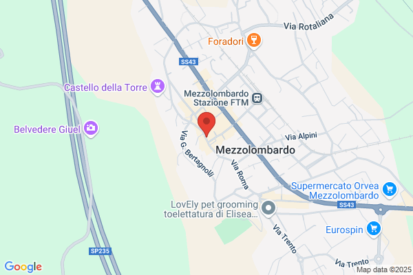 Fiamozzi Alfio (P.I.)