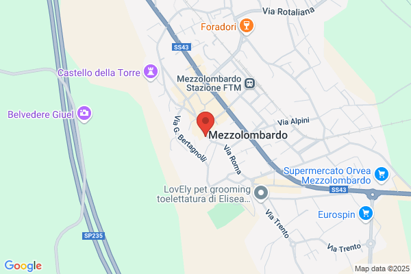 Pozza carlo