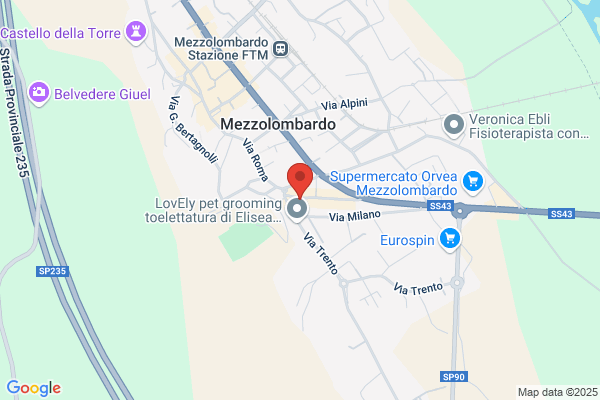 Associazione Gruppo Alpini Mezzolombardo