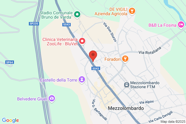 Gelati Girasole (S.N.C.)
