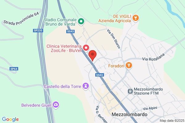 Gramola Guerrino