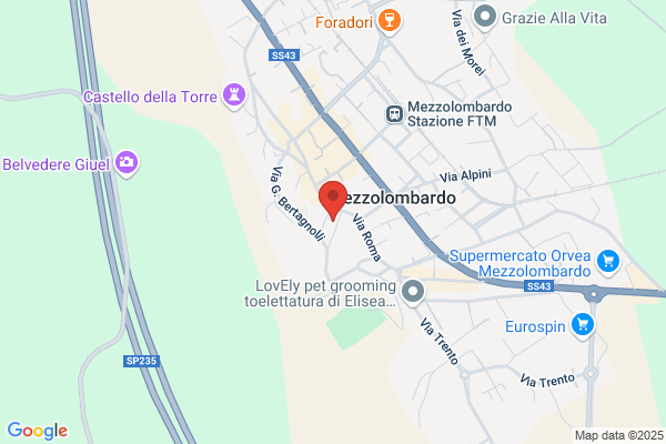 Parrocchia San Giovanni Battista -