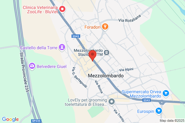 Pedron paolo (Arch.)