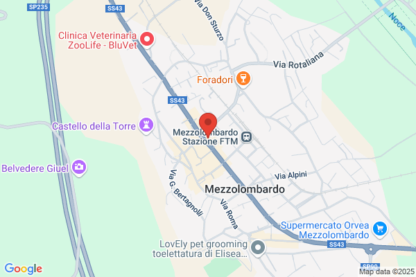 Riccamboni bruno