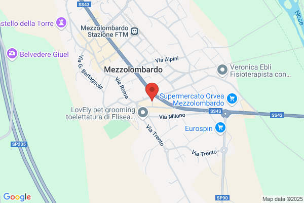 Secci roberta (Dr.)