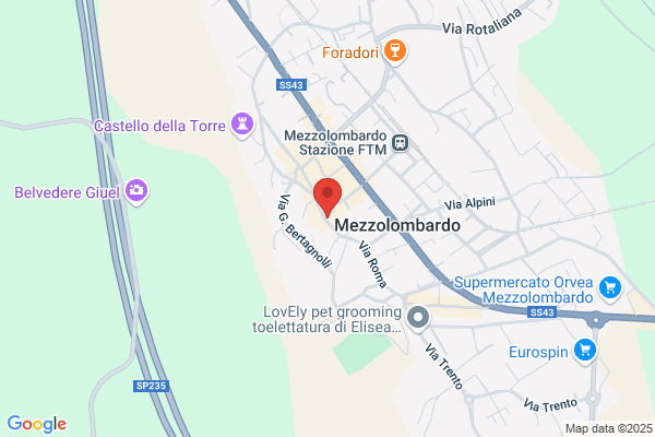 Tessuti Manzatti S.A.S.