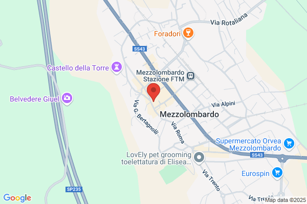Tiziana Prevedel Psicologa Psicoterapeuta