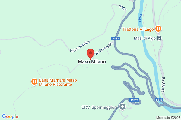 Ristorante Pizzeria al Maso