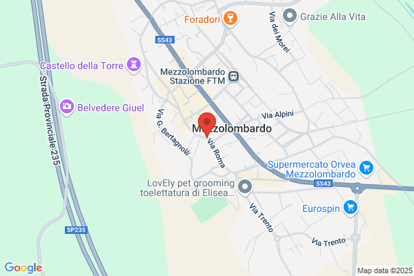 Sindacato Pensionati Italiani-C.G.I.L.