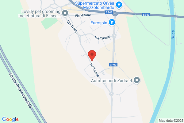 Zancanella Trasporti Srl