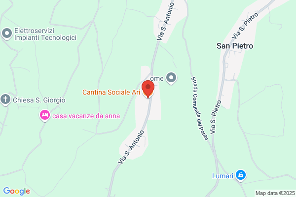 Cantina Sociale Ari