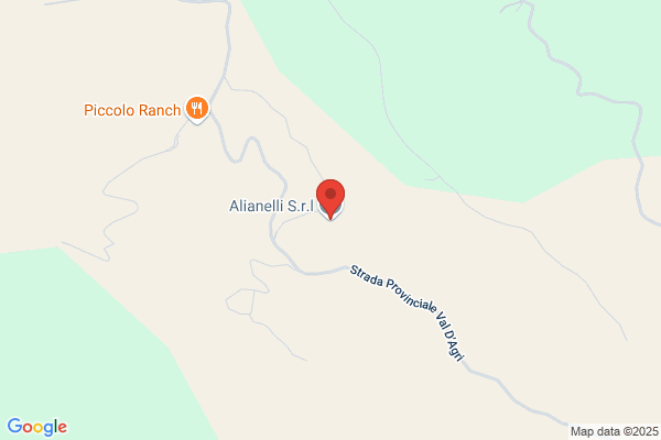 Alianelli S.r.l.