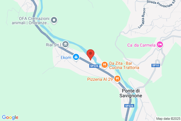 Procars Service