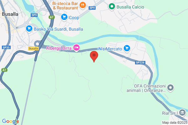 Minelli Remo Falegnameria